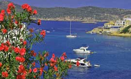 Mallorca Urlaub geniessen Genussreisen & Weinreisen